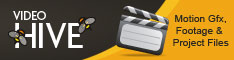 Video Hive